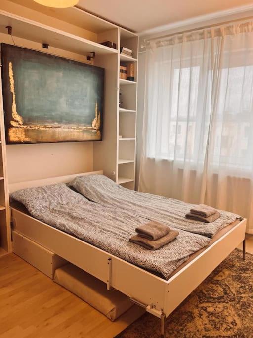 דירות קלוז'-נאפוקה Lorand'S Place Near The River מראה חיצוני תמונה